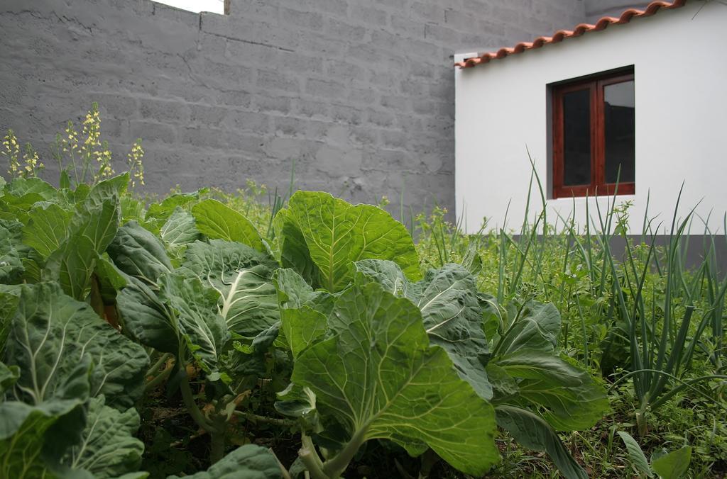 Casa Azul Natura Ponta Delgada Exterior foto